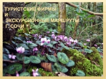 ТУРИСТСКИЕ ФИРМЫ И ЭКСКУРСИОННЫЕ МАРШРУТЫ г. СОЧИ