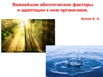 Важнейшие абиотические факторы
и адаптации к ним организмов.
Келин Е. А