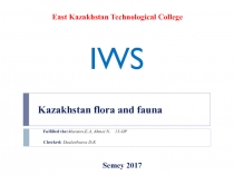 F ulfilled the : Muratov.E.A, Ahmet N. 13-OP
Checked: Daulenbaeva