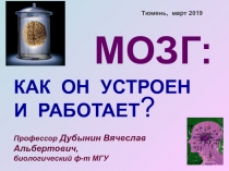 1
1
МОЗГ:
КАК ОН УСТРОЕН
И РАБОТАЕТ ?
Профессор Дубынин