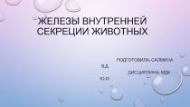 Железы внутренней секреции животных