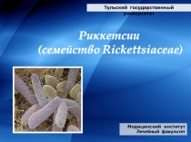 Тульский государственный университет
Медицинский институт
Лечебный факультет