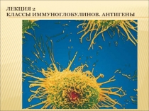 Лекция 2 Классы иммуноглобулинов. Антигены