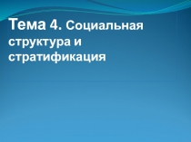 Тема 4. Социальная структура и стратификация