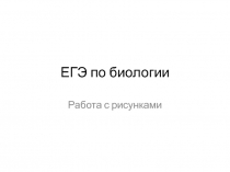 ЕГЭ по биологии