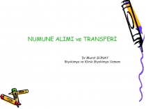 NUMUNE ALIMI ve TRANSFERİ
Dr.Murat GÜNAY
Biyokimya ve Klinik Biyokimya Uzmanı
