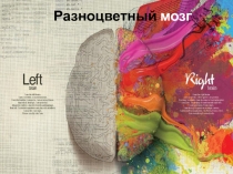 Разноцветный мозг