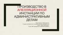 ПРОИЗВОДСТВО В АПЕЛЛЯЦИОННОЙ ИНСТАНЦИИ ПО АДМИНИСТРАТИВНЫМ ДЕЛАМ