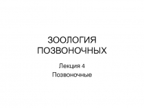 ЗООЛОГИЯ ПОЗВОНОЧНЫХ