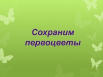 Сохраним первоцветы