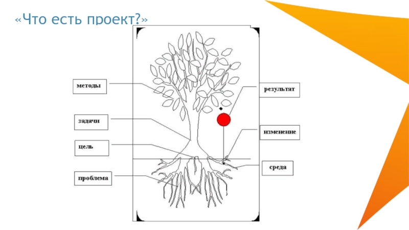 Проект есть