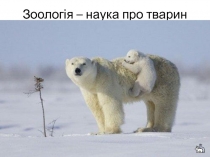 Зоологія – наука про тварин