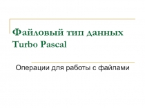 Файловый тип данных Turbo Pascal