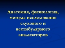 Анатомия, физиология, методы исследования слухового и вестибулярного