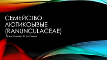C ЕМЕЙСТВО Лютикоывые ( ranunculaceae )