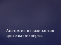 Анатомия и физиология зрительного нерва