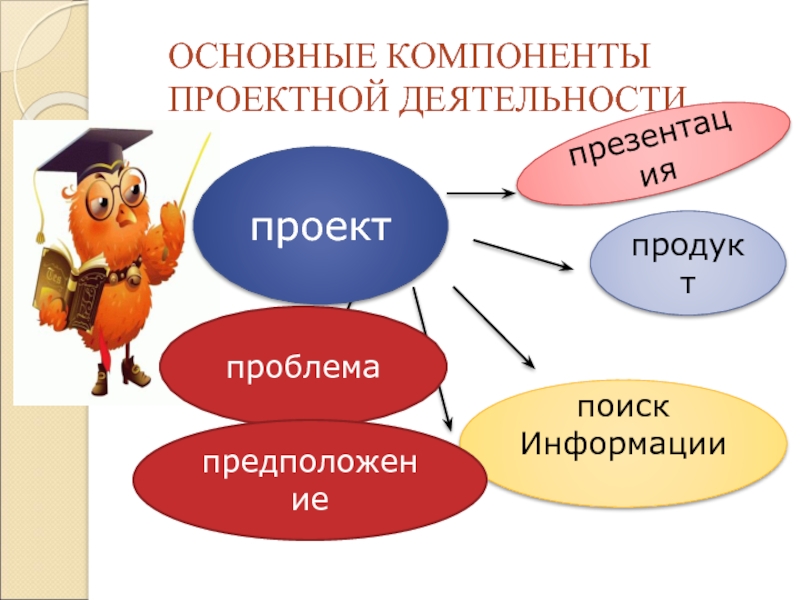 Элементами проекта являются