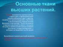 Основные ткани высших растений