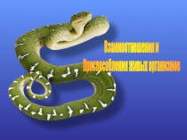 Взаимоотнешения и
Приспособления живых организмов