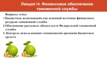 Лекция 14. Финансовое обеспечение таможенной службы