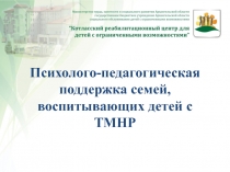 Психолого-педагогическая поддержка семей, воспитывающих детей с ТМНР