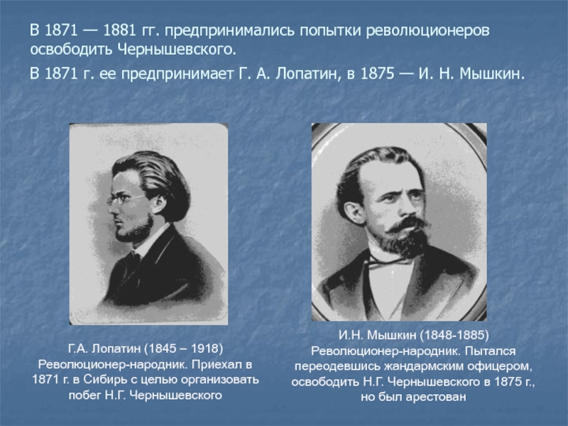 Слов разночинцы. Народники Чернышевский. Революционеры народники. Николай Гаврилович Чернышевский 1871 год. Николай Гаврилович Чернышевский на родине.