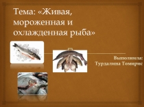 Тема : Живая, мороженная и охлажденная рыба