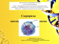 Министерство образования и науки
Российской Федерации
Санкт – Петербургский