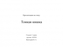 Тонкая кишка