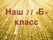 Наш 11 Б класс