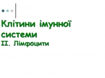 Клітини імунної системи ІІ. Лімфоцити