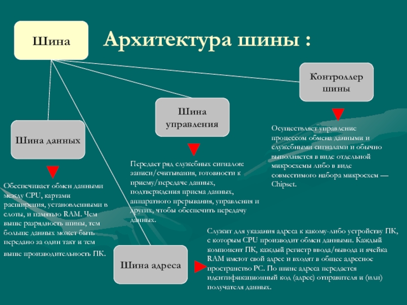 Понятие шины классификация шин компьютера презентация