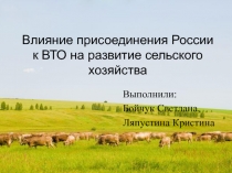 Влияние присоединения России к ВТО на развитие сельского хозяйства