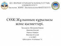 ӘЛ - ФАРАБИ АТЫНДАҒЫ ҚАЗАҚ ҰЛТТЫҚ УНИВЕРСИТЕТІ Биология ЖӘНЕ Биотехнология