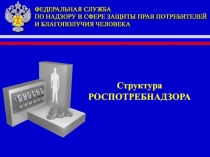 Структура РОСПОТРЕБНАДЗОРА