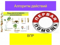 Алгоритм действий