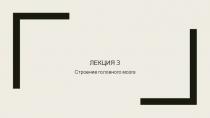 Лекция 3
