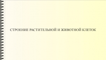 CТРОЕНИЕ РАСТИТЕЛЬНОЙ И ЖИВОТНОЙ КЛЕТОК