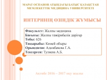 ИНТЕРННІҢ ӨЗІНДІК ЖҰМЫСЫ