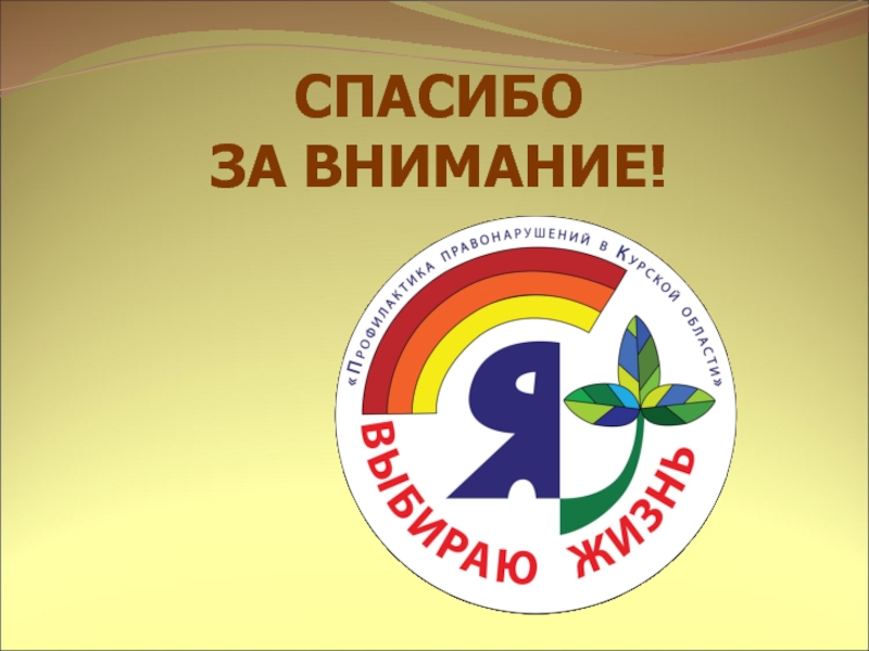 Муниципальное казенное образовательное учреждение дополнительного образования СПАСИБО ЗА ВНИМАНИЕ! СПАСИБО ЗА ВНИМАНИЕ!