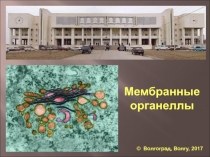 Мембранные органеллы
© Волгоград, Волгу, 2017