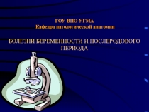 ГОУ ВПО УГМА Кафедра патологической анатомии БОЛЕЗНИ БЕРЕМЕННОСТИ И
