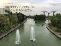 УДАЛЕННАЯ РАБОТА. ПЛЮСЫ И МИНУСЫ