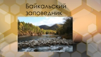 Байкальский заповедник