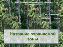 Название охраняемой зоны