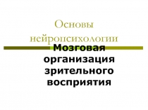 Основы нейропсихологии