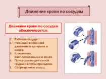 Движение крови по сосудам
Движение крови по сосудам обеспечивается:
Работой