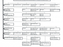 Гнойно-септич инфу новор25