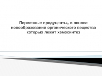 Первичные продуценты, в основе новообразования органического вещества которых