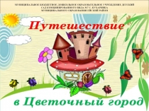 Муниципальное бюджетное дошкольное образовательное учреждение детский сад